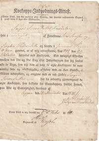 Ingrid Iverdatter's Innoculation Certificate