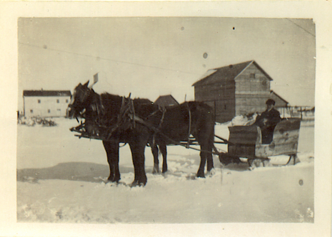 Sleigh in Grygla