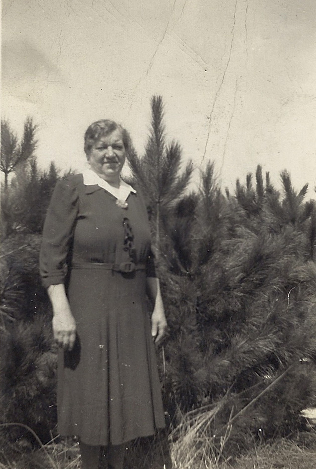 Anna Scheer